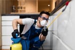 5 Fall Pest Control Tips