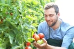 20 Easy-To-Grow Vegetables On The List Of Vegetables To Plant In Spring