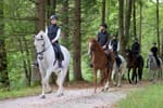 10 Creative Ways To Raise Money With Horseback Riding Activities