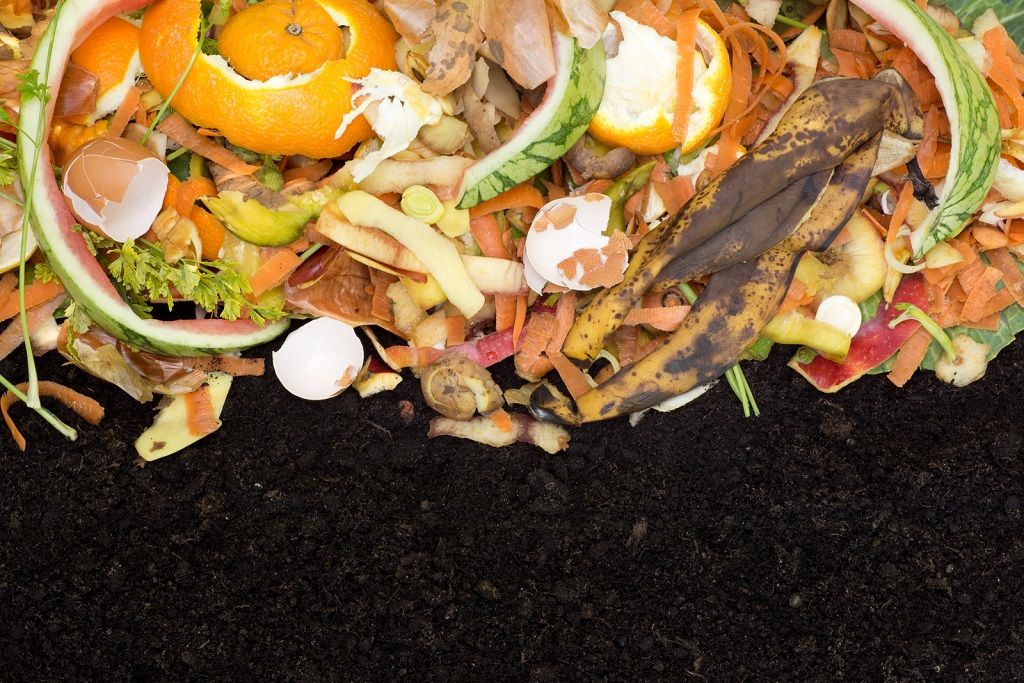 16 Household Items That Are Compostable