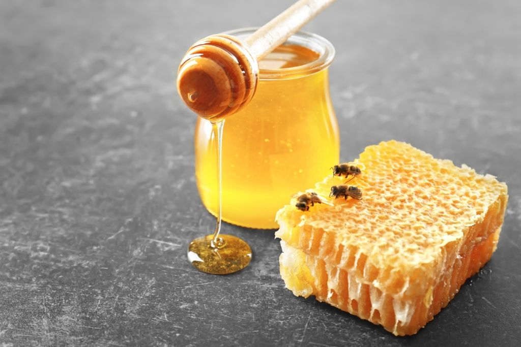 Beekeeping For Beginners