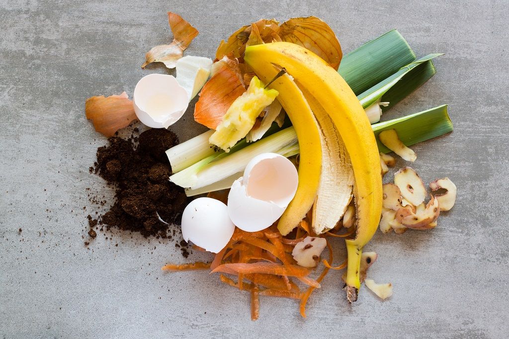 Composting Basics For Homeowners