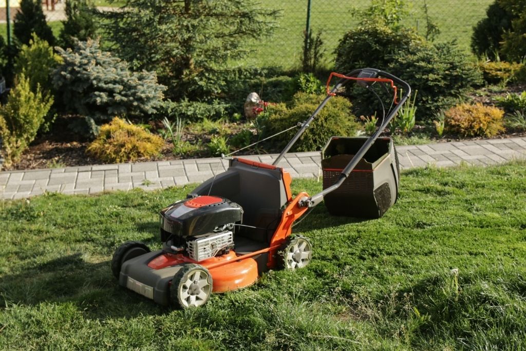 Top 20 Lawn Care Tips For Beginners