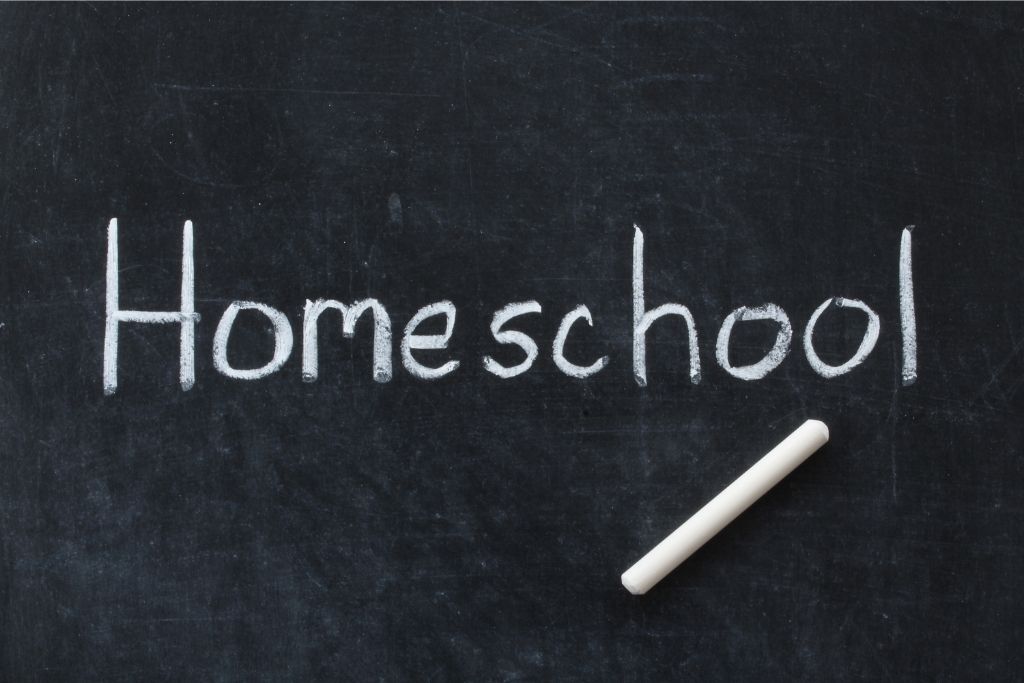 6 Pros And Cons Of Homeschooling
