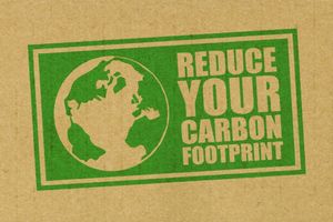 How To Reduce Your Carbon Footprint