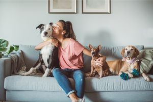 Top 10 Trusted Pet Tips For All Dog And Cat Owners