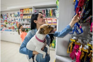 11 Tips For First Time Dog Owners That Make Training Easier