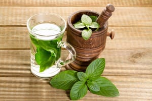 11 Health Benefits Of Fresh Mint Leaves That Help Improve Overall Health