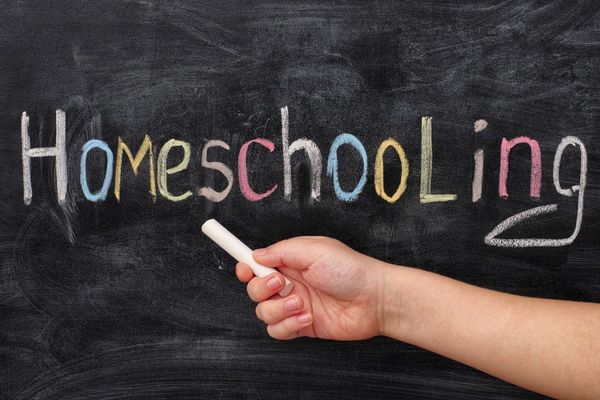 Beginners Guide To Homeschooling
