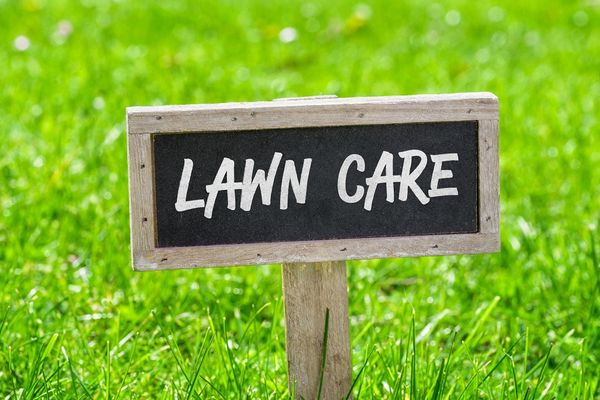 Lawn Care For Beginners