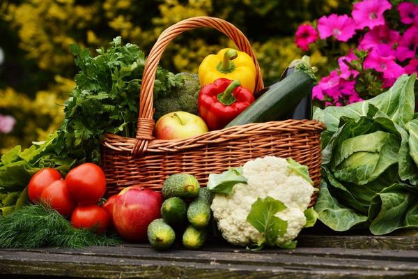 Organic Gardening For Beginners