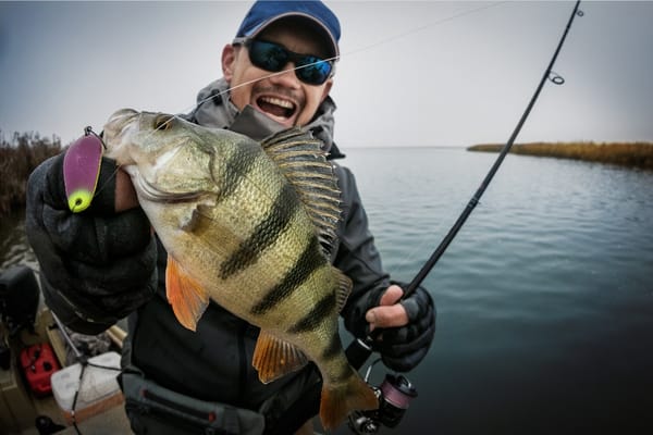 10 Different Types Of Fishing You Should Try