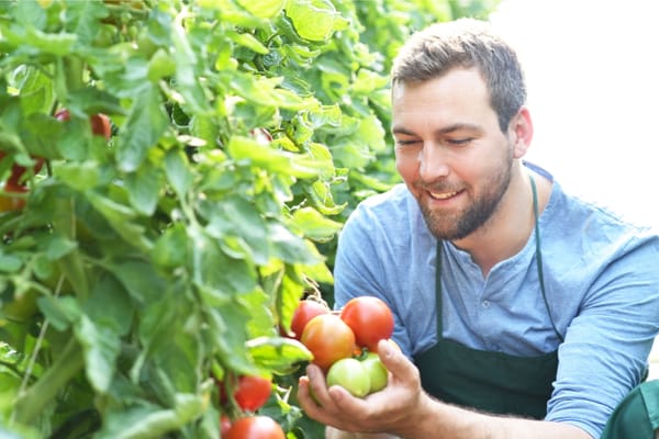 20 Easy-To-Grow Vegetables On The List Of Vegetables To Plant In Spring